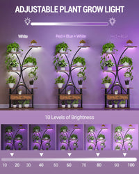 Étagère à Plantes 9 Niveaux avec Lampes de Croissance - Victor – vue 4